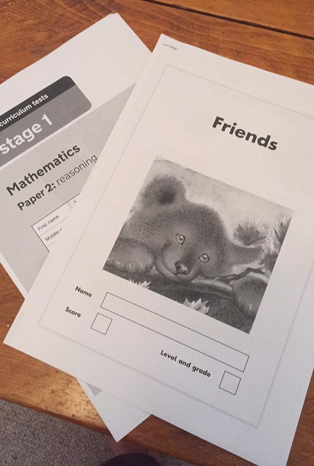 YEAR 2 SATS PAPERS