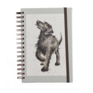 father;s day gift ideas