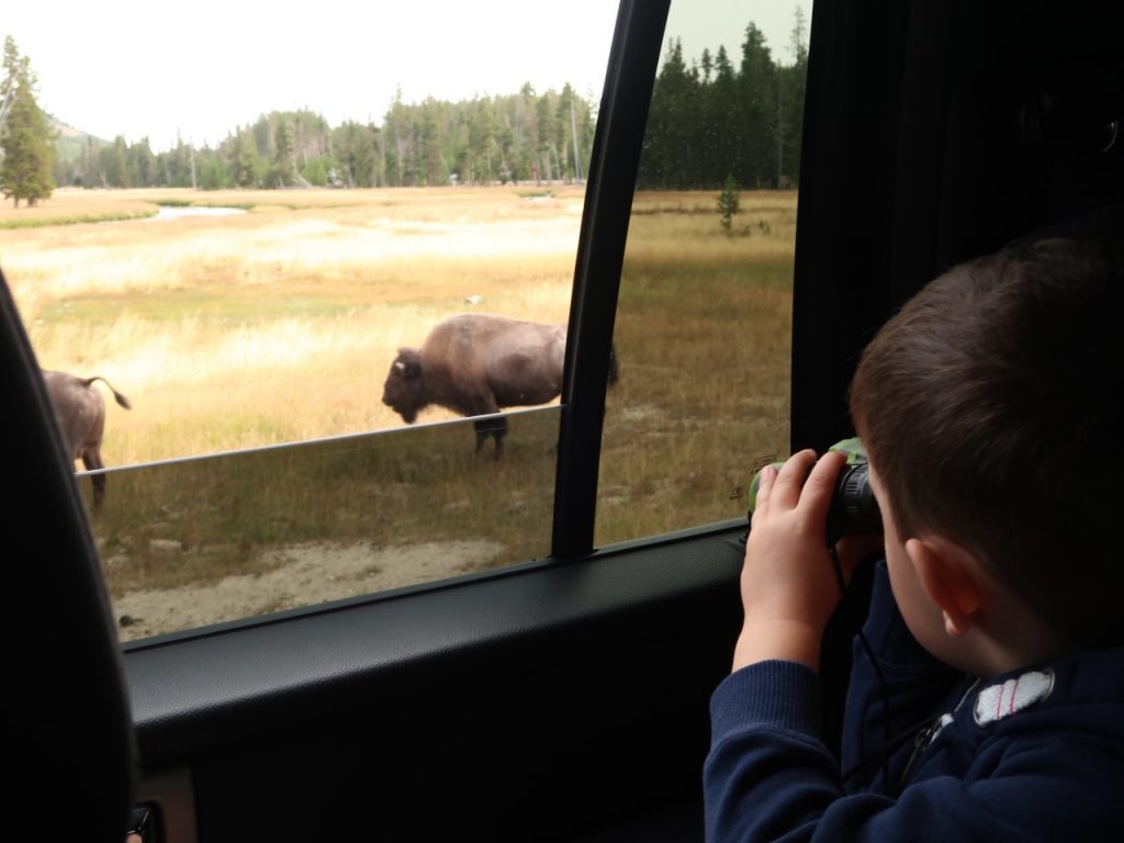 keeping kids occupied on road trips