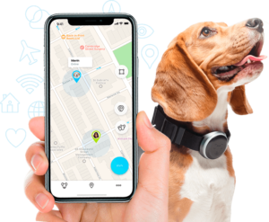 gift ideas for dogs