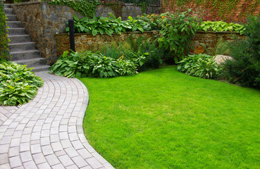 type of lawn