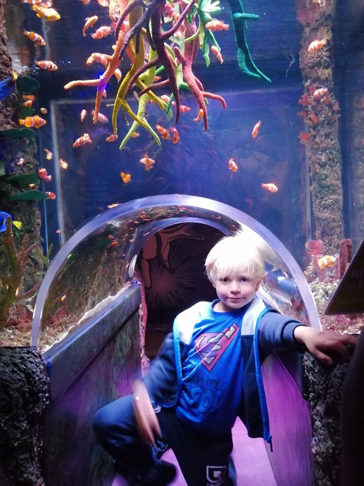 sea life manchester