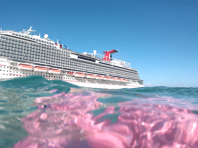 cruise