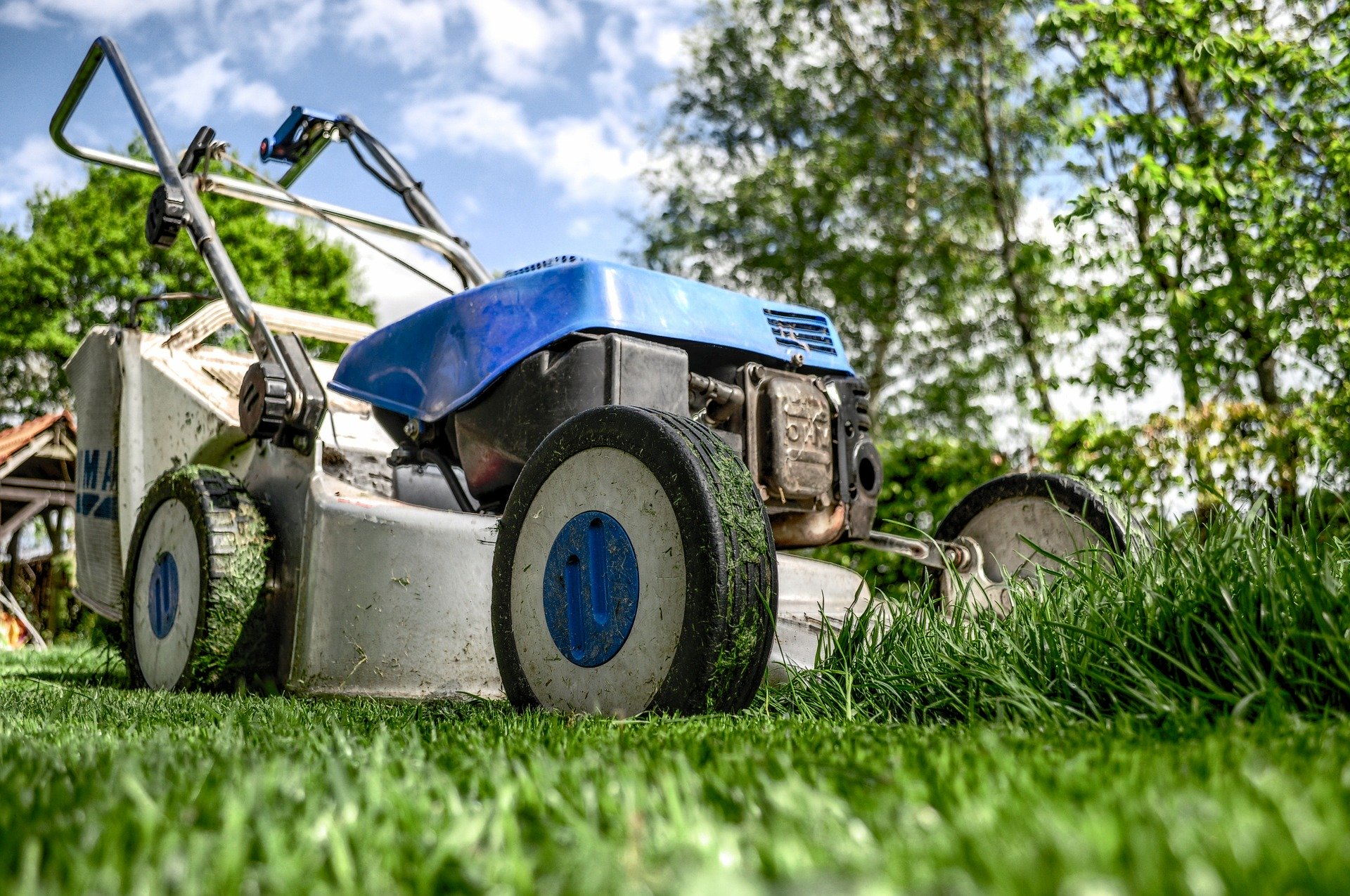 artificial grass