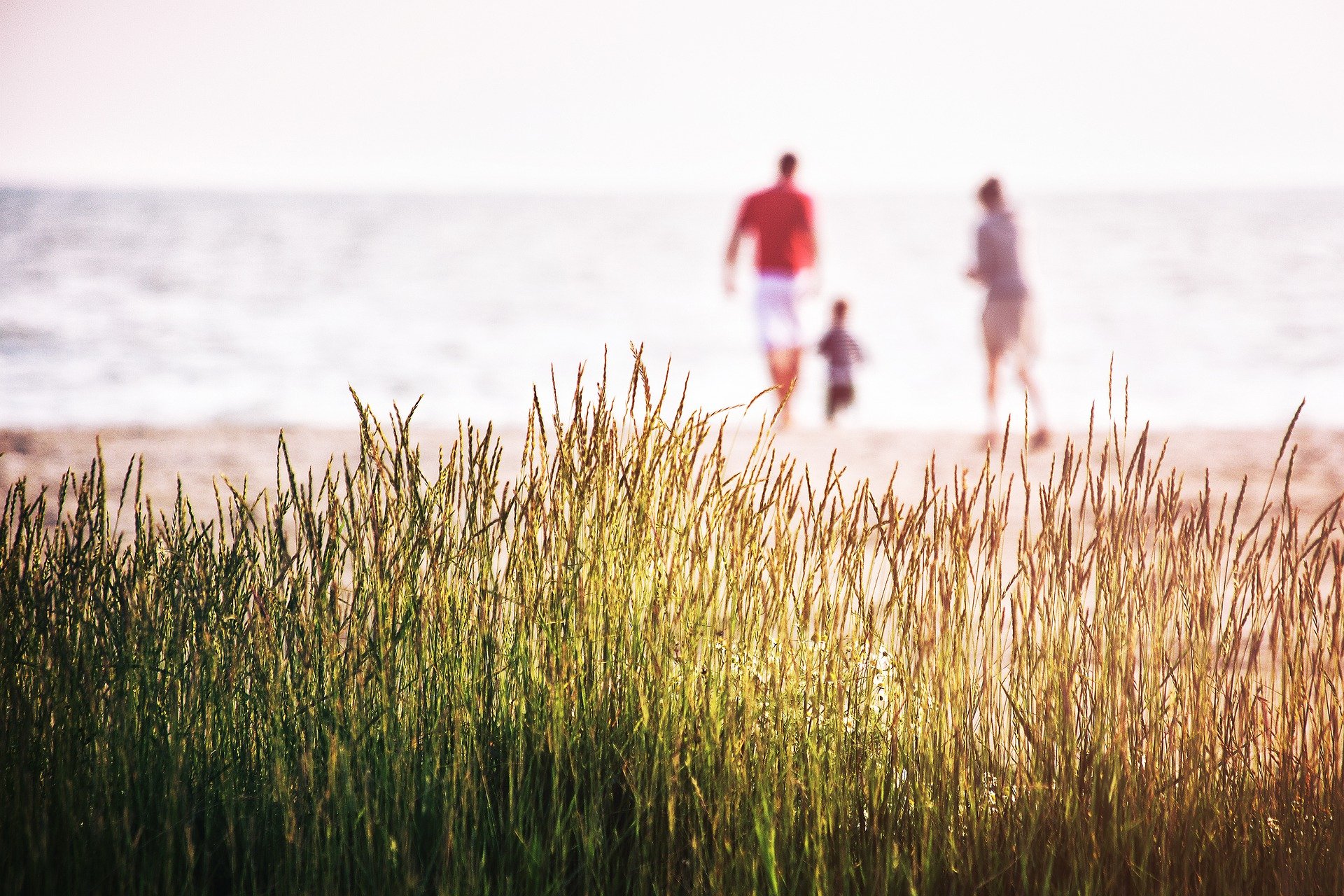 Things To Do With Your Family This Summer