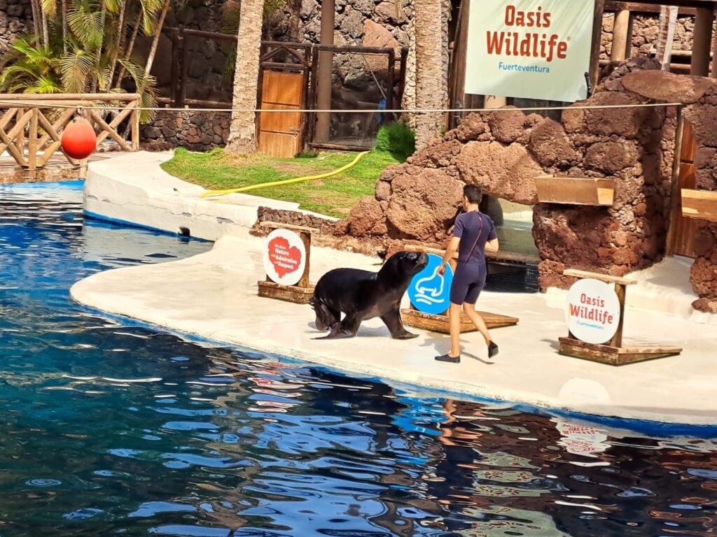 Fuerteventura zoo