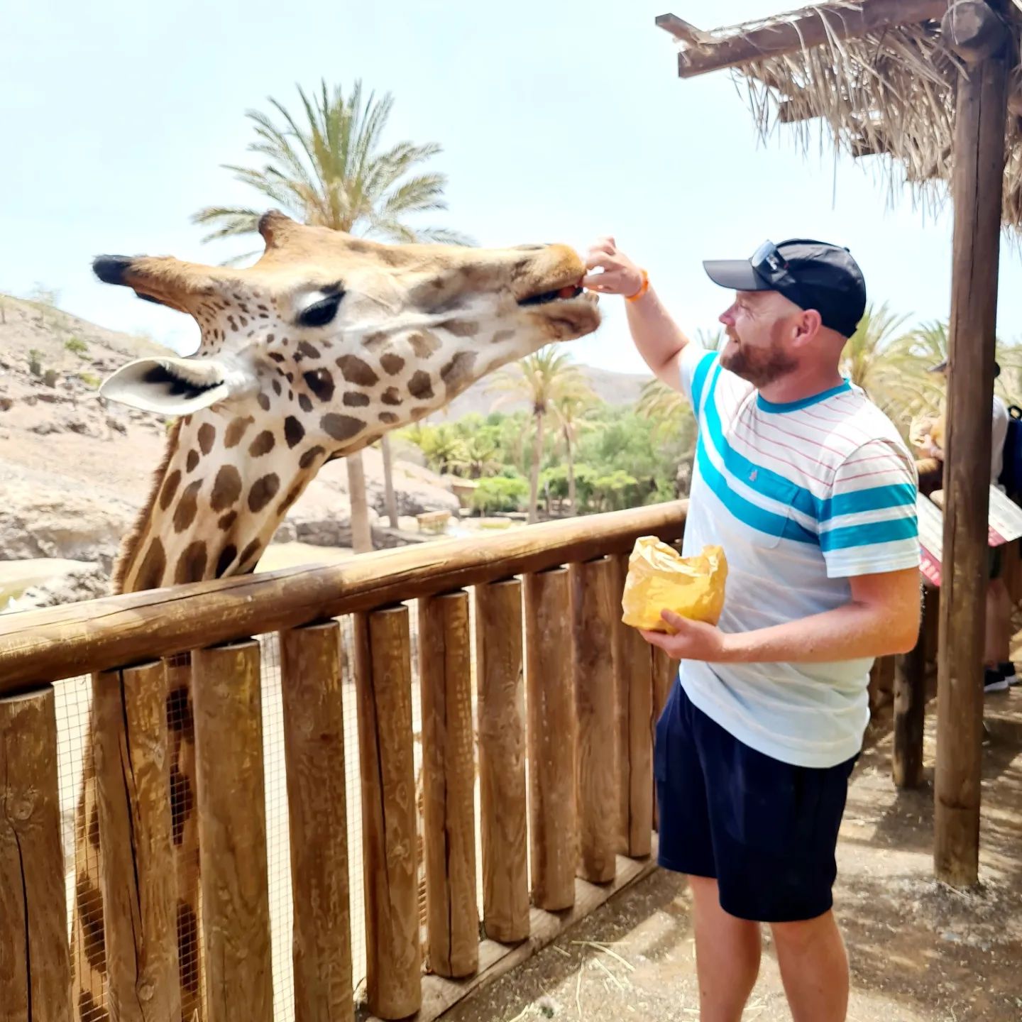Fuerteventura zoo