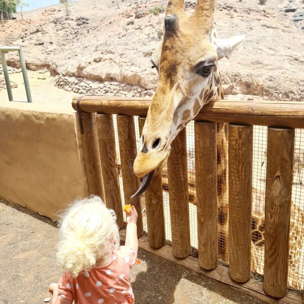 Fuerteventura zoo