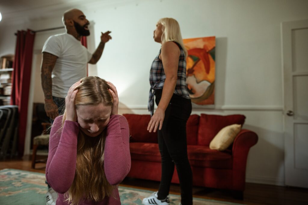 family mediation