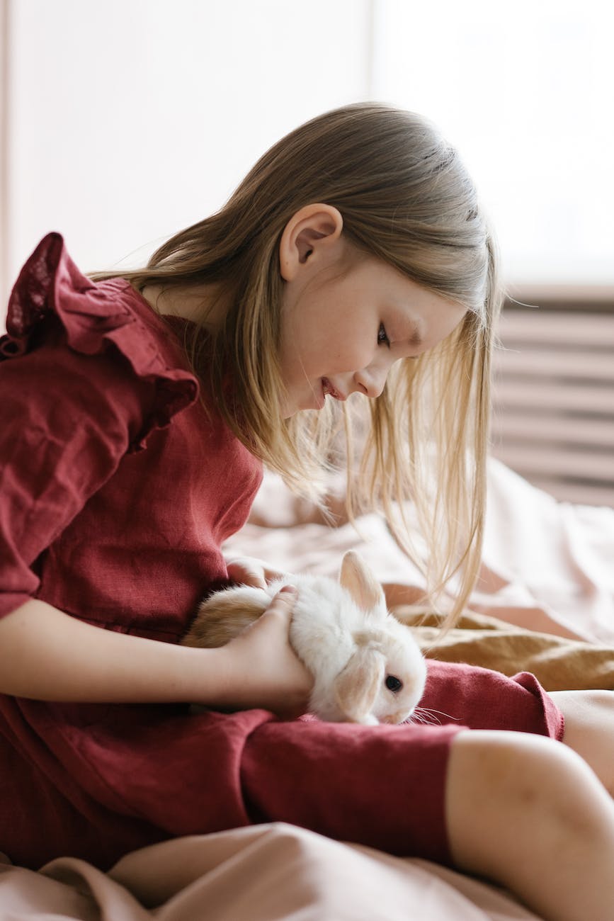 cute girl with fluffy white domestic rabbit
