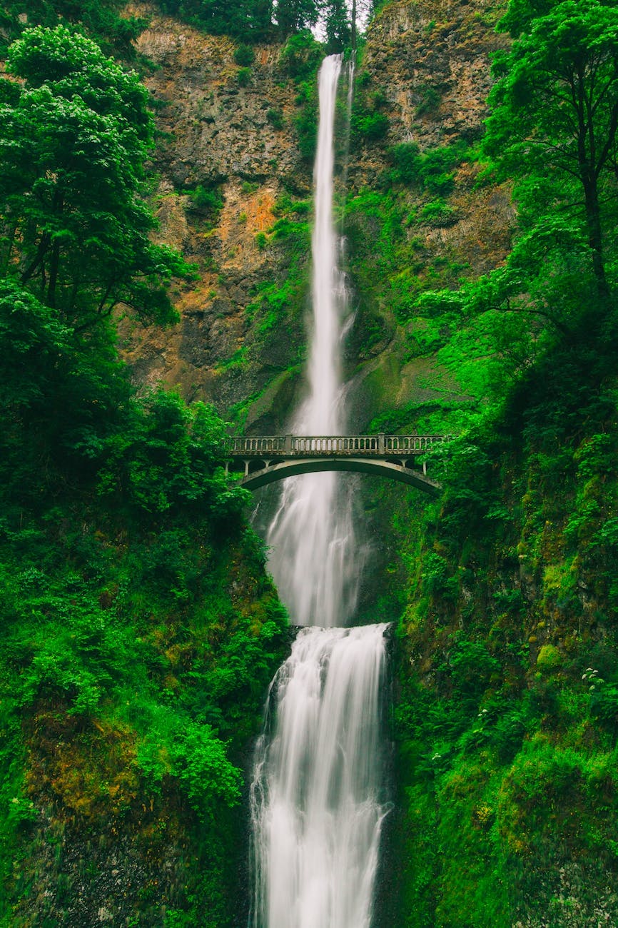bridge near waterfall
