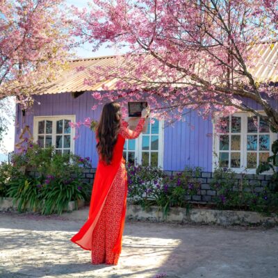 How to Update Your Home & Garden for Spring