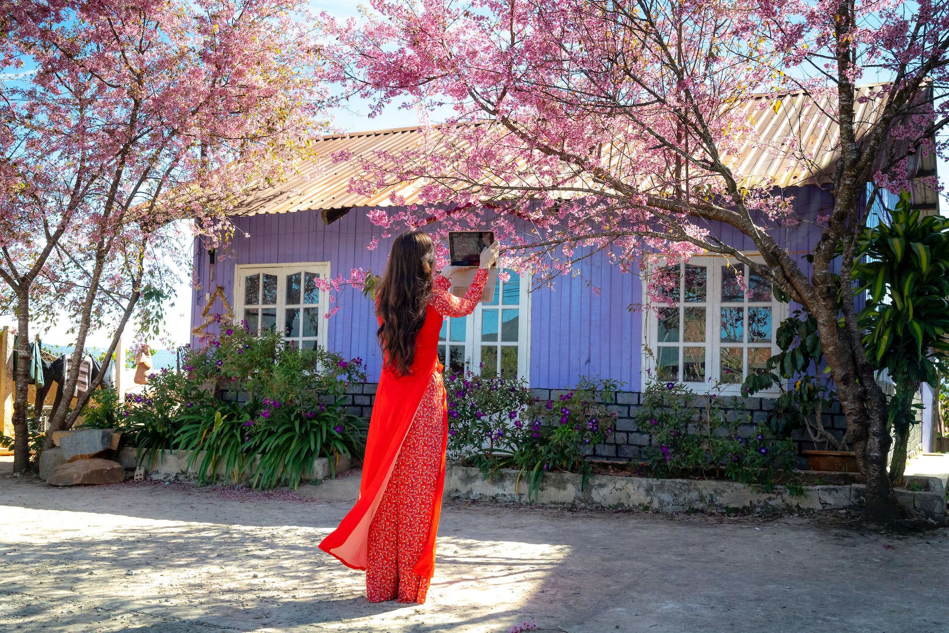 woman in red dress standing under pink leaf tree