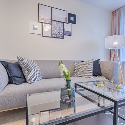 How to Safeguard Your Interior Furniture from Pests