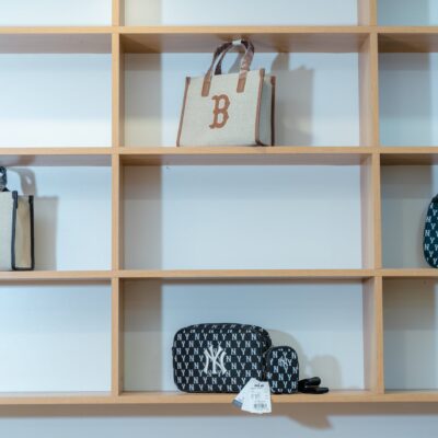 Mastering the Art of Handbag Selection: Tips for Every Fashion Enthusiast