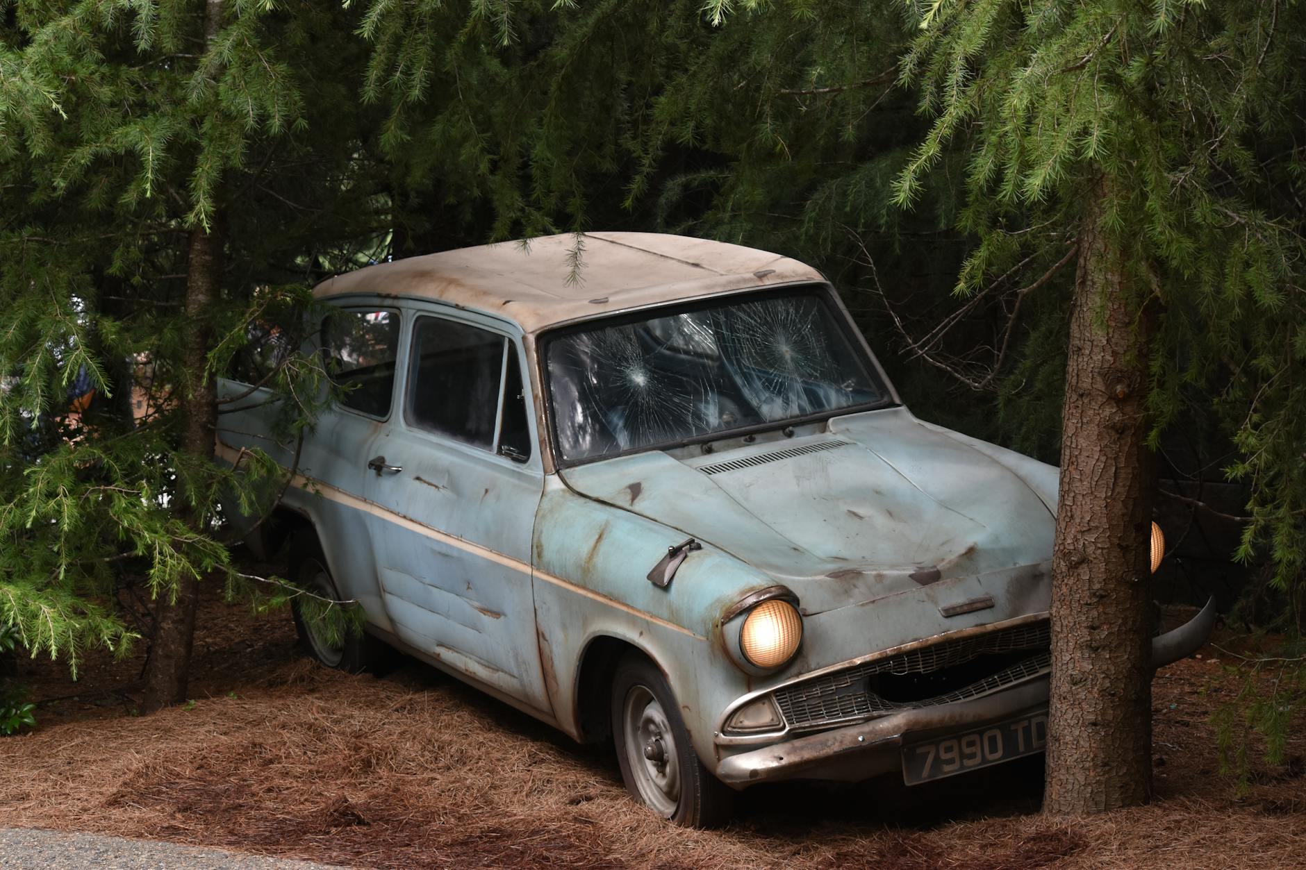 old car parked near tree